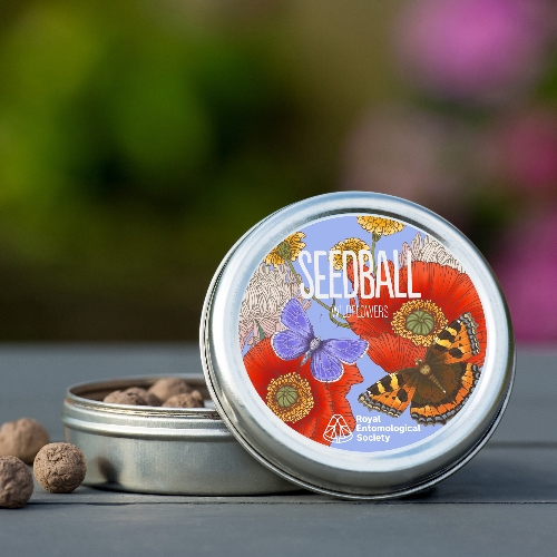 Loved by Gift Focus magazine