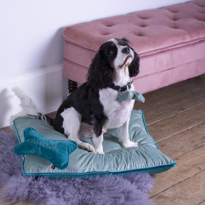 Ethical gift and homewares brand, Green & Heath, enters the pet market