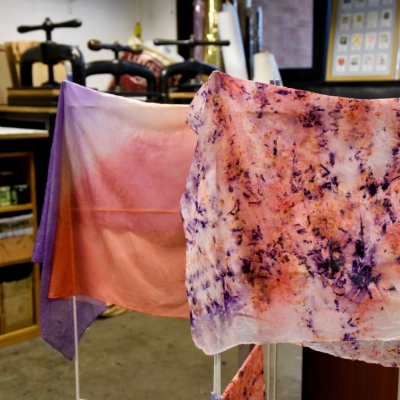 Association for Cultural Enterprises Opens Applications for Seeds of Change 2026