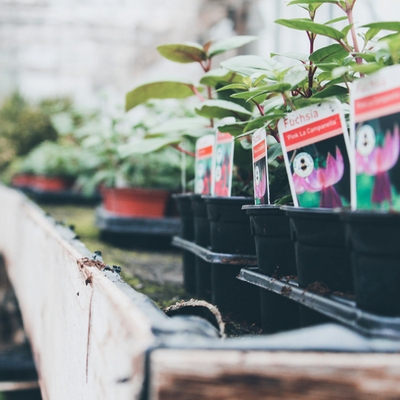 UK garden retailers must look beyond the spring peak to grow demand