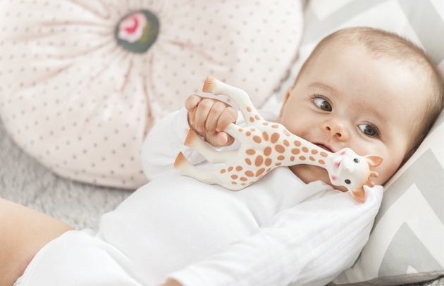 Sophie la girafe looks to new markets with MDR brand management partnership: Image 1