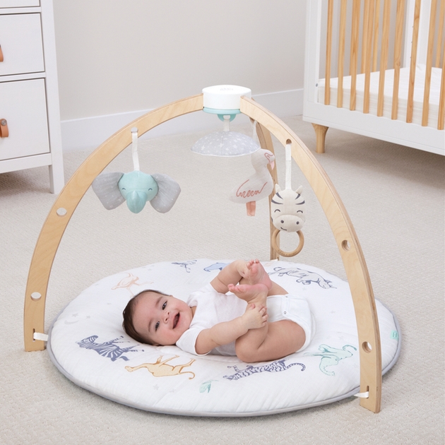 Aden + Anais launches Baby Activity Gym