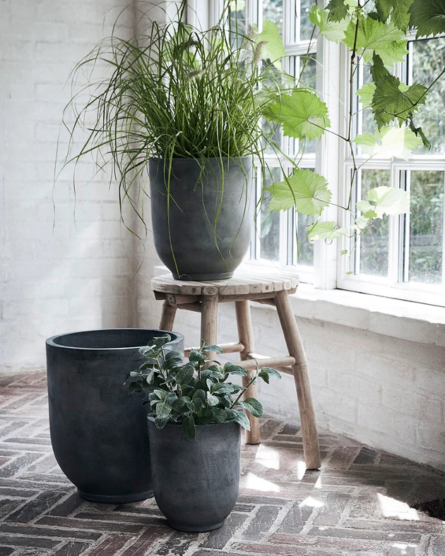 plant pots on display on a still in front of a window