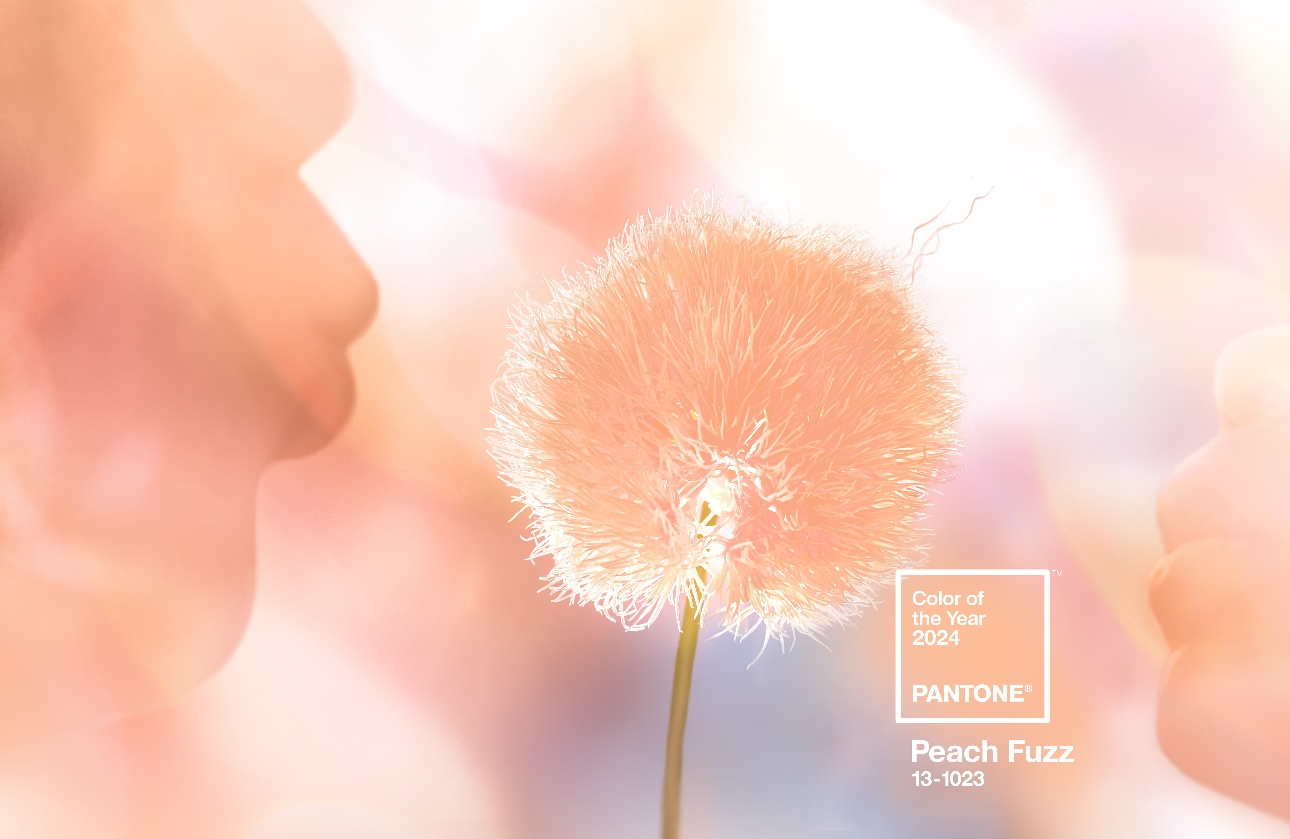 Feeling peachy Pantone's Colour of the Year swatch