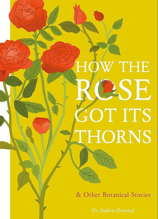 yellow cover with red rose bush on it