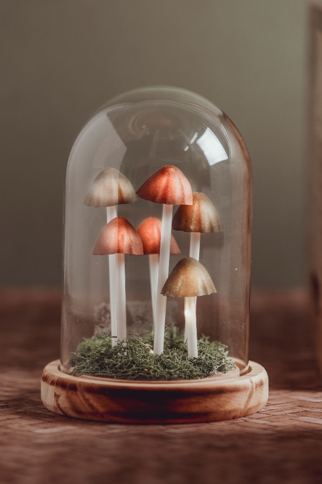 Ornament of toadstools in a glass dome