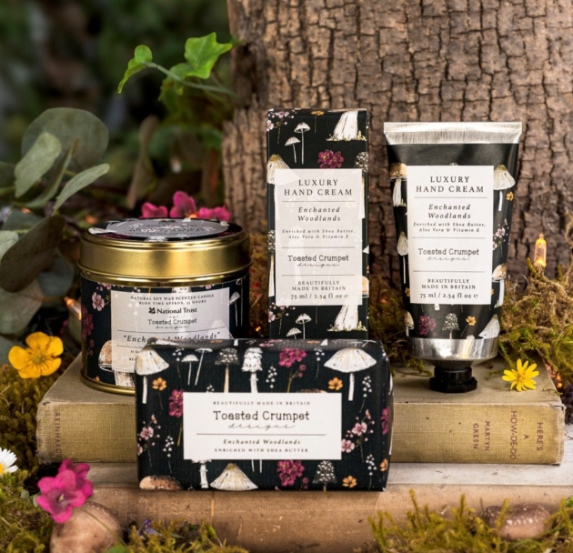 group shot of toiletry products