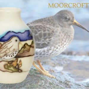 W Moorcroft Plc