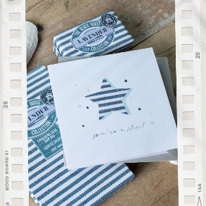 The Sea Shed Ltd  