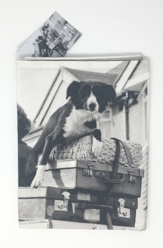 Image 5 from Holy Mackerel (UK) Ltd
