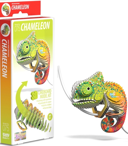 Image 4 from Brainstorm Limited