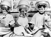 Thumbnail image 8 from Holy Mackerel (UK) Ltd