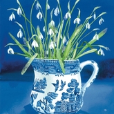 Thumbnail image 5 from The Eco-Friendly Card Company